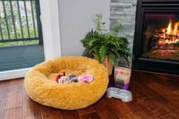Neon Nest | 3BR Townhome |Near Downtown |Beach |Wineries